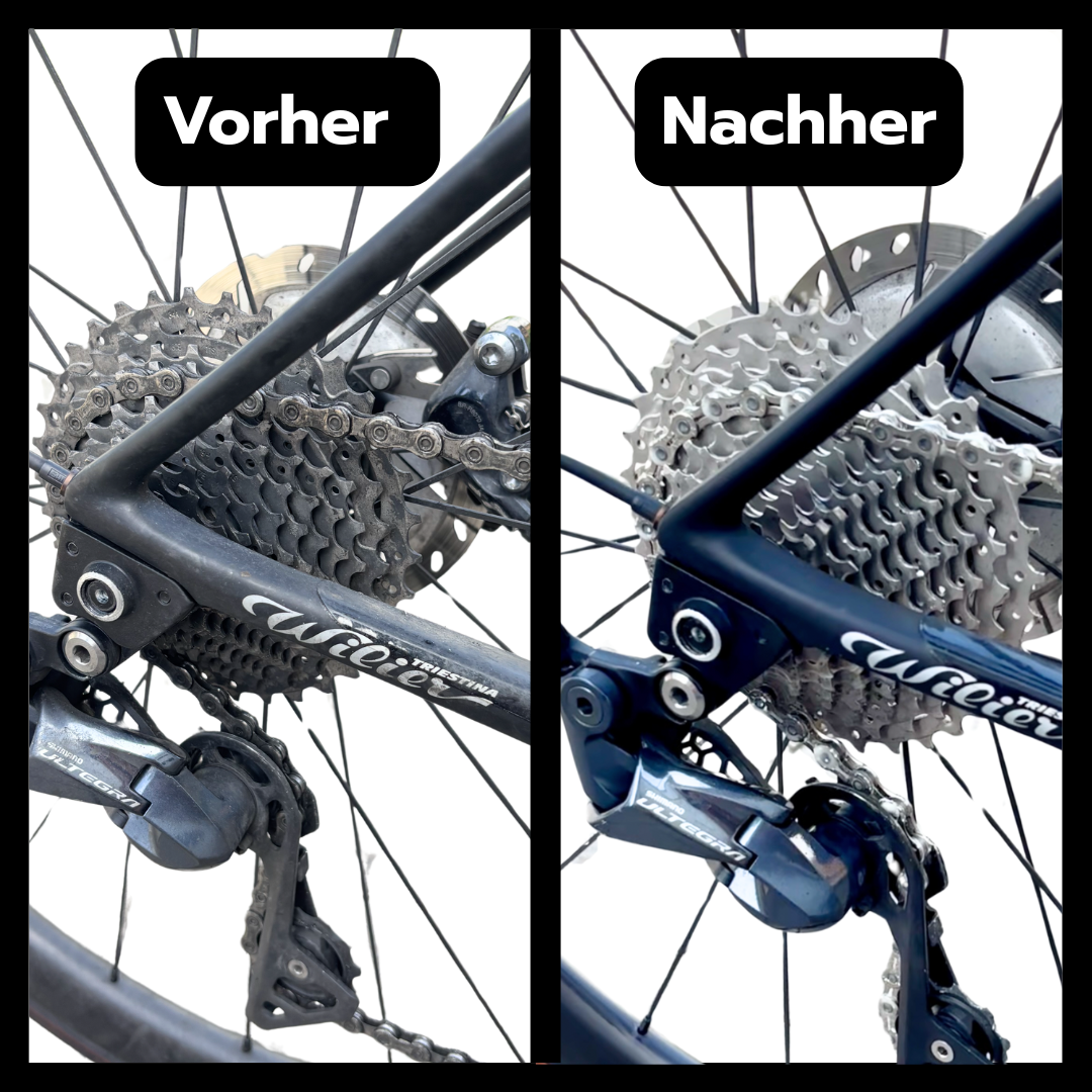 Perfect Drive Bio Bike Intensivreiniger, Antriebsreiniger
